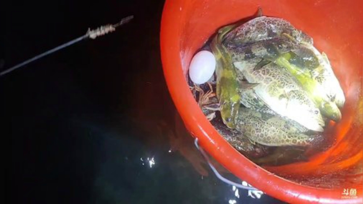 抓龙虾牛蛙 2020-05-23 22点场