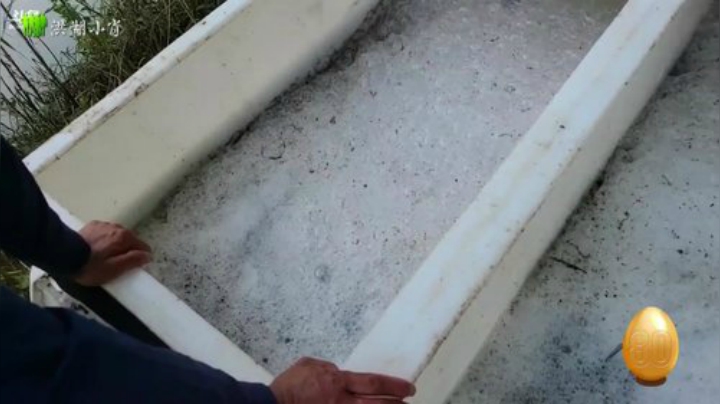 今天下河拉网 2020-05-23 16点场