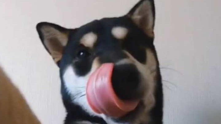 找三弟的过程中