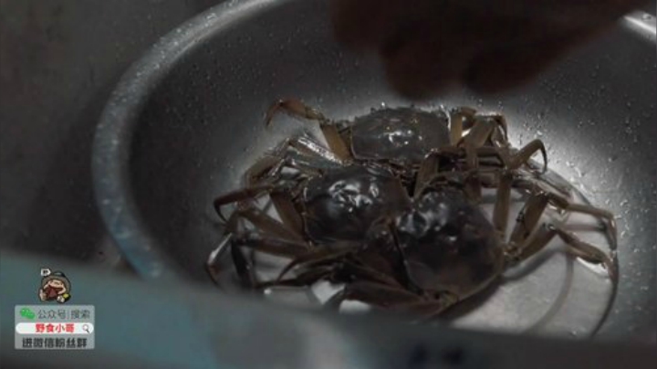 哆啦爱梦梦发布了一个斗鱼视频2020-05-25