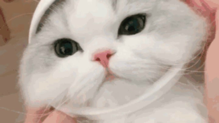 录播