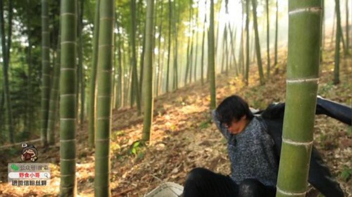 我在斗鱼看野食小哥直播美食