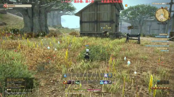 Biu笨熊的菜鸡直播间 2020-05-25 14点场