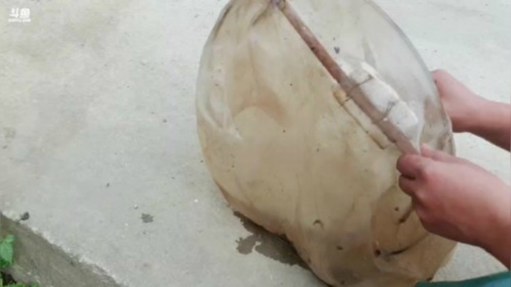 哆啦爱梦梦发布了一个斗鱼视频2020-05-27