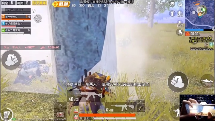 卧龙凤雏