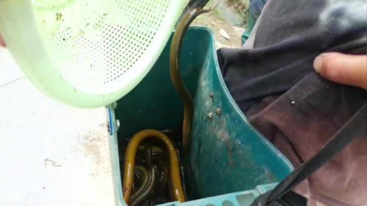 哆啦爱梦梦发布了一个斗鱼视频2020-05-27