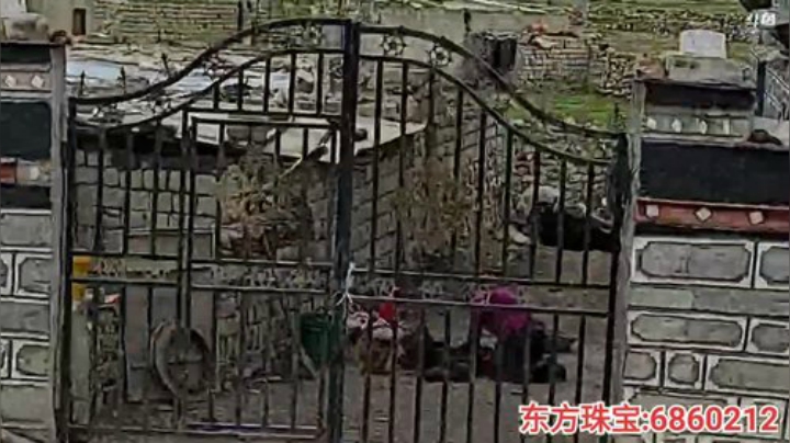 纪实直播;理塘到拉萨63天→西藏边境嘎啦 2020-05-27 15点场