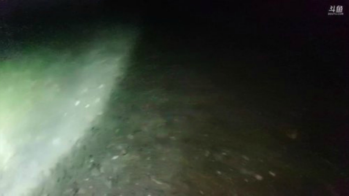 晚上去捡小龙虾 2020-05-27 20点场