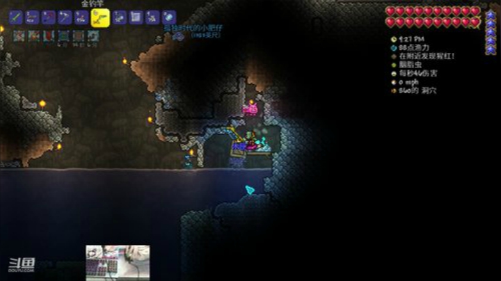 [泰拉瑞亚]玩游戏一定要快乐 2020-05-28 01点场