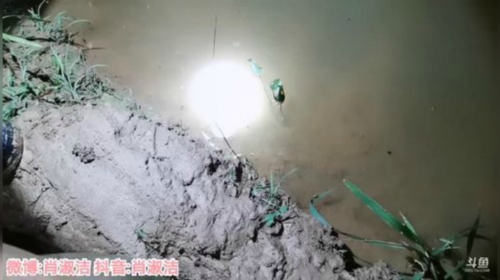 肖淑洁生命中的光和盐发布了一个斗鱼视频2020-05-28