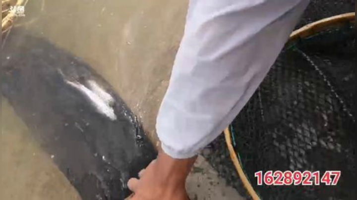 科头溜子发布了一个斗鱼视频2020-05-28