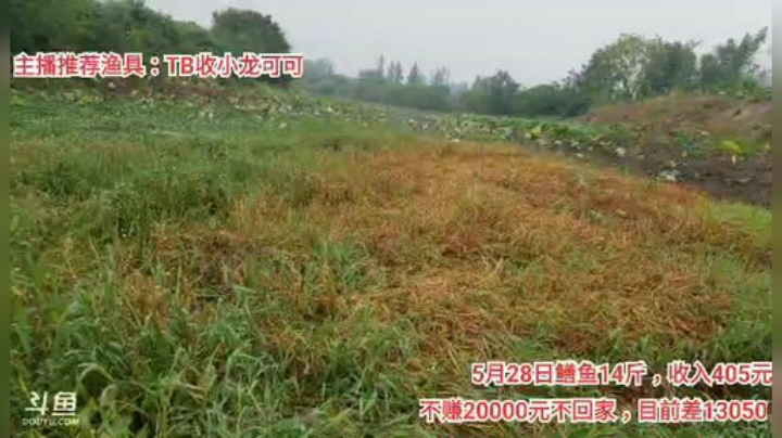 十一郎君01发布了一个斗鱼视频2020-05-29