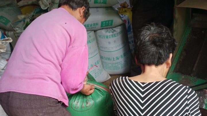这是在干嘛