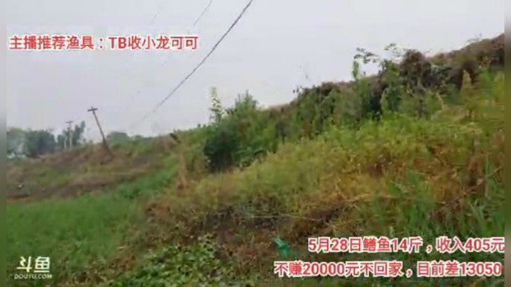 十一郎君01发布了一个斗鱼视频2020-05-29