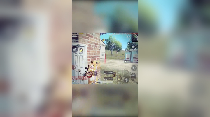 【A扬】你们要的大白菜鸡毛菜来了