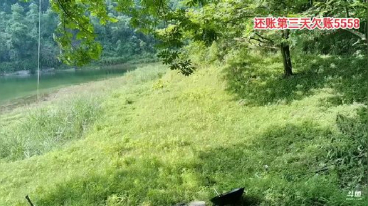 在户外赚够5000回家第三天 2020-05-30 08点场