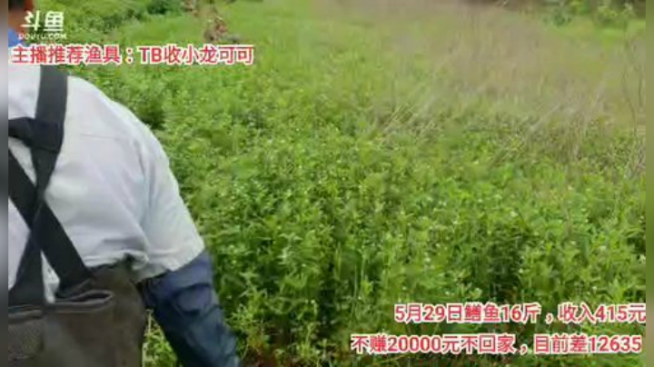 十一郎君01发布了一个斗鱼视频2020-05-30