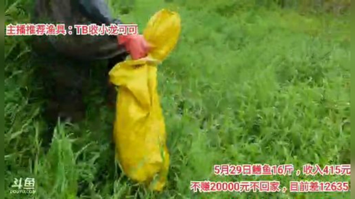 十一郎君01发布了一个斗鱼视频2020-05-30