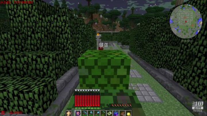 绵羊菌：不当史蒂夫了 2020-05-30 12点场