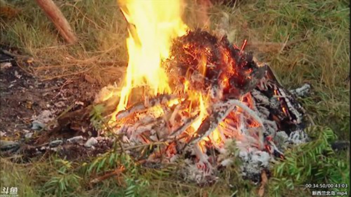 静思世语发布了一个斗鱼视频2020-05-30