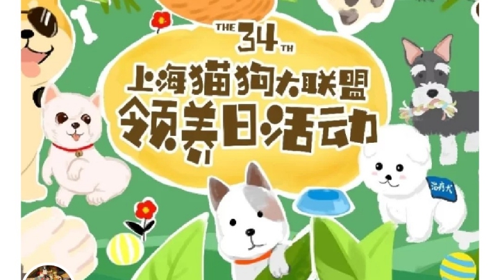 5月31日猫狗大联盟领养活动