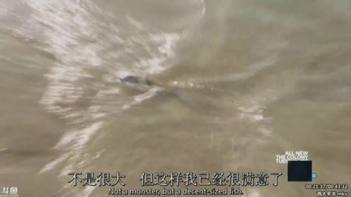 静思世语发布了一个斗鱼视频2020-05-31