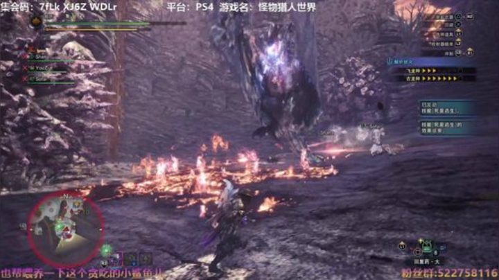 阿中：怪猎 快乐就是快乐 Day 8 2020-05-31 14点场