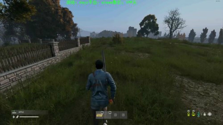 dayz (年轻人，游戏不是这么玩滴） 2020-05-29 22点场