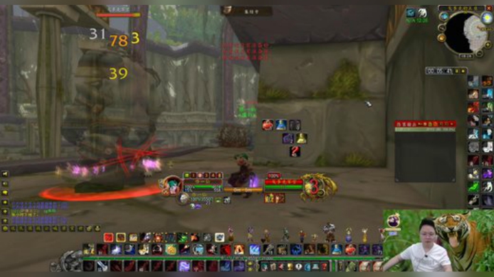 魔兽世界怀旧服：避雷了！祖格拳套真实测评，当作玩具都被嫌弃！