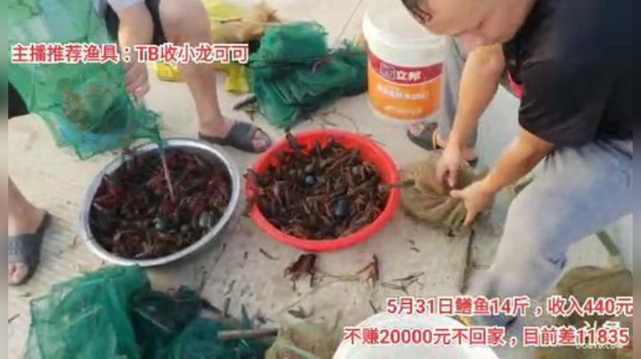 十一郎君01发布了一个斗鱼视频2020-06-02
