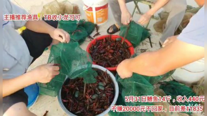 十一郎君01发布了一个斗鱼视频2020-06-02