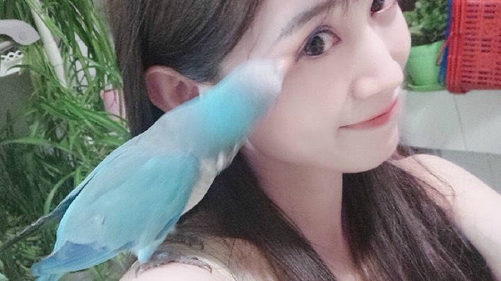 动物园游记