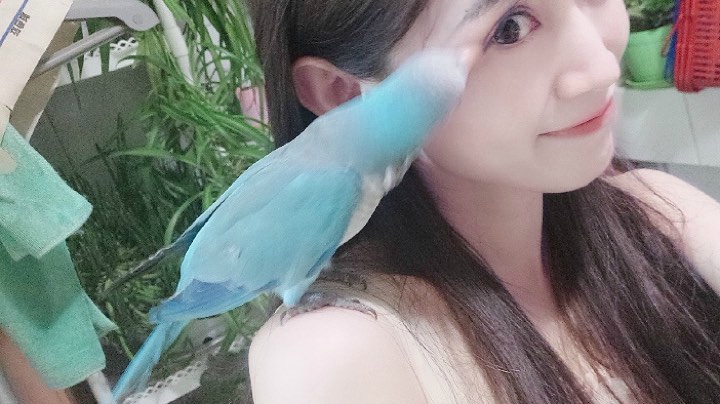 动物园游记