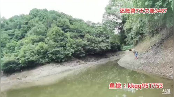 户外还账第7天钓甲鱼 2020-06-03 12点场