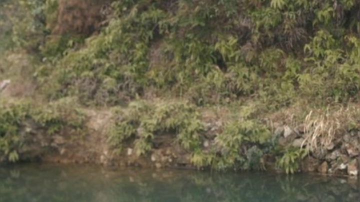 哆啦爱梦梦发布了一个斗鱼视频2020-06-03