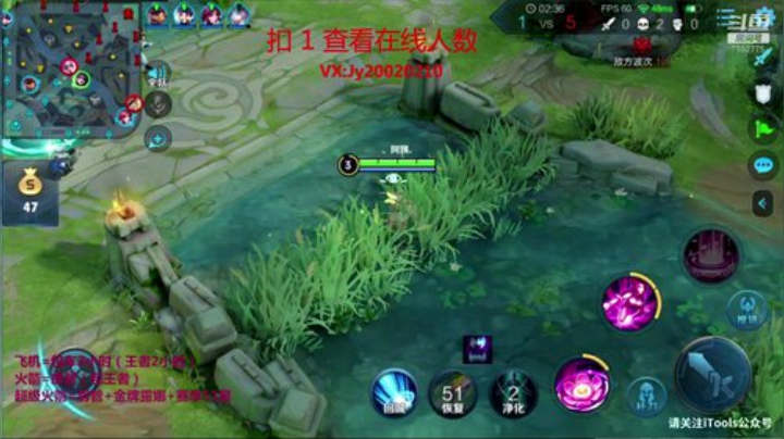 国服露娜 带粉办卡上车 2020-06-02 20点场