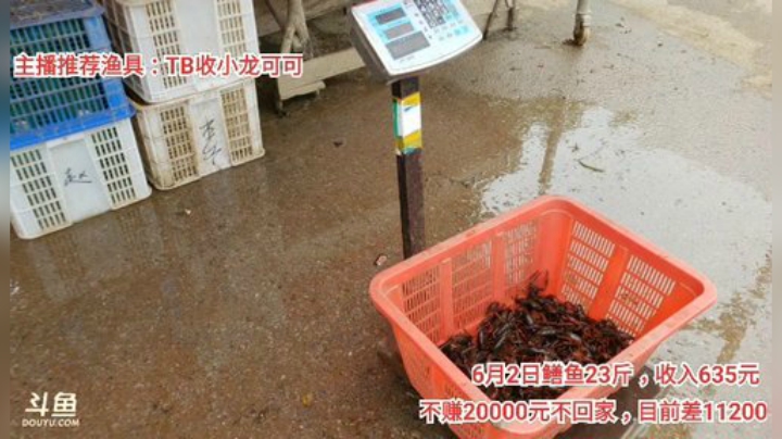 十一郎君01发布了一个斗鱼视频2020-06-03