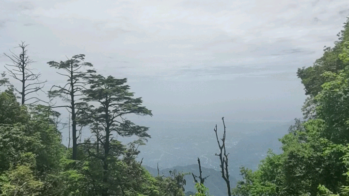 兄弟们我们鬼家军的路还很长，喜欢我们节目的兄弟们我们一起继续