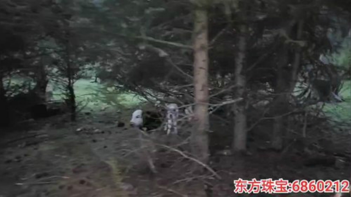 纪实直播;理塘到拉萨69天→西藏巴松措 2020-06-02 20点场