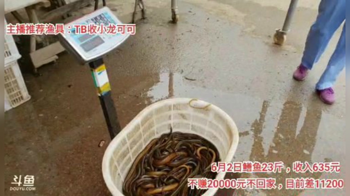 十一郎君01发布了一个斗鱼视频2020-06-03