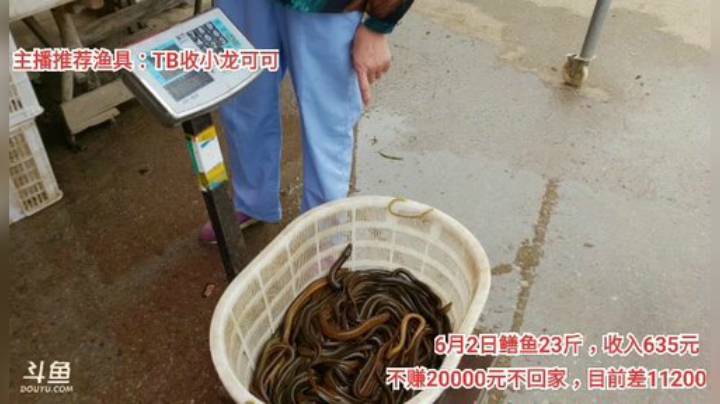 十一郎君01发布了一个斗鱼视频2020-06-03
