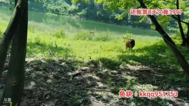 户外还账第8天 2020-06-04 09点场