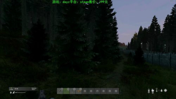 dayz (我只是想打死各位或者被各位） 2020-06-03 20点场