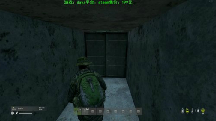 dayz (我只是想打死各位或者被各位） 2020-06-02 23点场