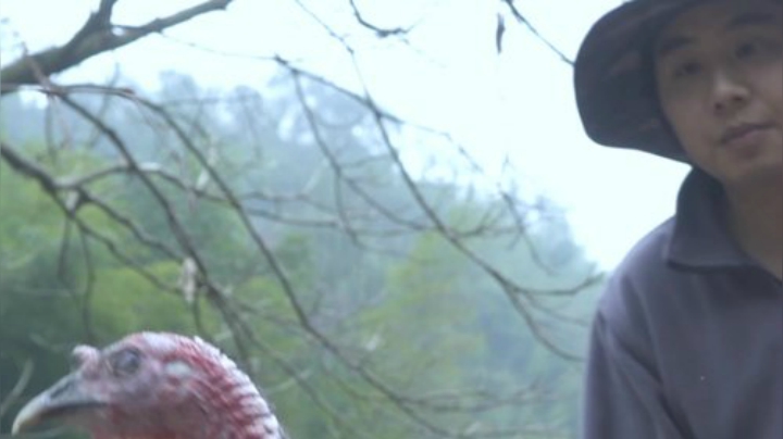 我在斗鱼看野食小哥直播美食