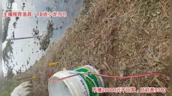 十一郎君01发布了一个斗鱼视频2020-06-05