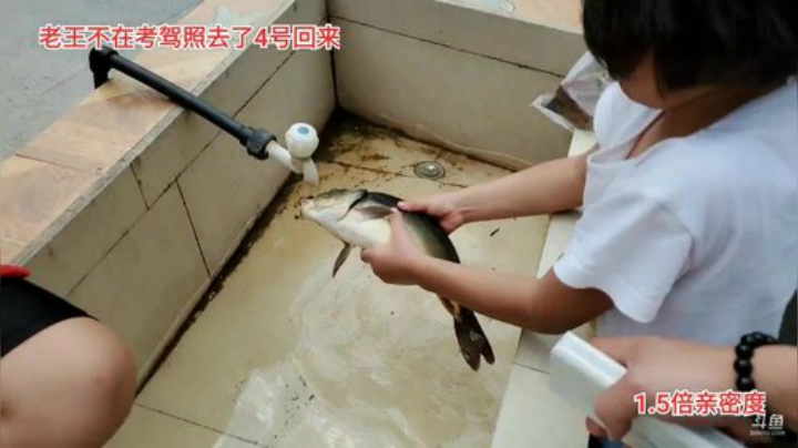 上山做饭(≧ω≦)/ 2020-05-31 14点场