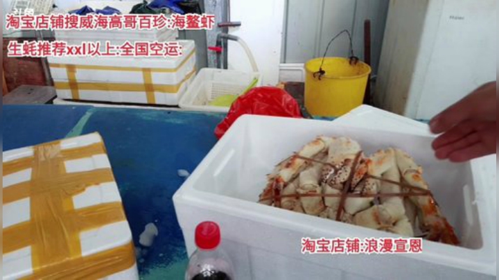 西北老狼哥哥发布了一个斗鱼视频2020-06-06