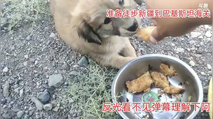 徒步新疆到巴基斯坦第十二天2