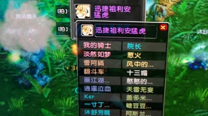 zug行  这是出的第四只坐骑  叁参宿 334 斗鱼93180
